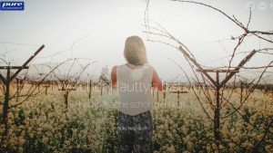 welcher hauttyp bist du