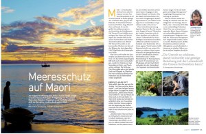 meeresschutz Kopie